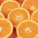 Petite Orange de SICILE spéciale pour jus d'orange. Naturelle non traitée.